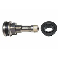 Metal clamp-in tubeless tire valve stem with chrome finish, straight shape, and 180° valve stem angle. Features 0.305-32 thread size and meets TR416 standards. Designed for passenger car tire inflation and pressure monitoring