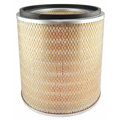 BALDWIN FILTERS Round/Oval Engine Air Filter PA3598 - Round/Oval Engine Air Filters