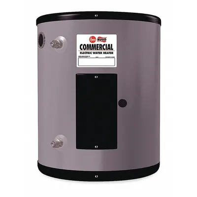 RHEEM Electric Water Heater: 120V, 15 gal, 3,000 W, Single Phase, 24.25 in Ht - Compact Commercial Electric Water Heaters