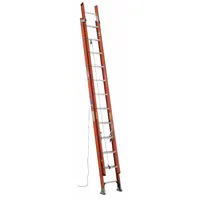 WERNER Extension Ladder: 24 ft Ladder Size, Fiberglass, 300 lb Load Capacity, 52 lb Wt, 2 Sections (MPN D6224-2)