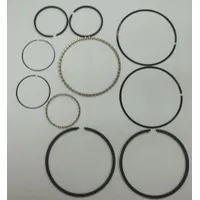 CHAMPION Ring Set,complete,10/15 Pumps: Z799, PL15A/RP15/RV15A/RV30A