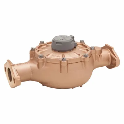 BADGER Positive Displacement Flowmeter: Disc Meter, Water, Bronze, 2 in Flange - Nutating Disc Flowmeters for Water