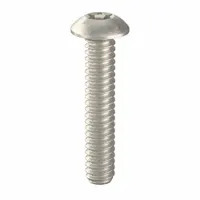 Tamper Resistant Screw: #10-24 Thread Size, 1 in Lg, Stainless Steel, Plain, Button, 25 PK (MPN 91140)