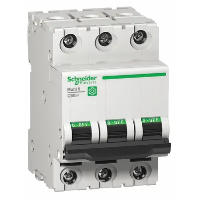 SCHNEIDER Supplementary Protector: 50 A Amps, 10kA at 240V AC, Screw Clamp - C-Curve, 3-Pole UL1077 DIN Rail-Mount Supplementary Protectors