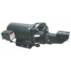 This Dayton shallow-well jet pump is designed for water transfer in shallow well applications. It features a 1 hp single-phase motor rated for 115/230V AC and includes an ejector as part of the assembly. Suitable for drawing water from depths up to approximately 25 feet.