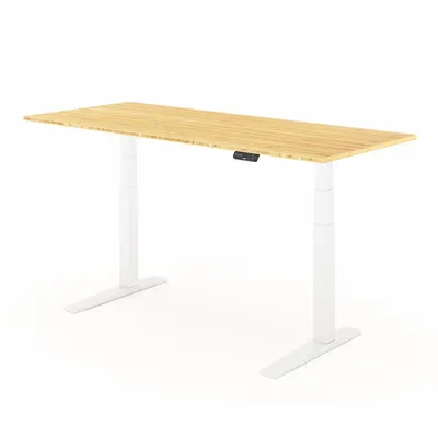 FLEXISPOT Standing Desk: Tan, Bamboo, 72 in Overall Wd, 30 in Overall Dp - Electric Adjustable-Height Desks