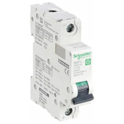 SCHNEIDER Supplementary Protector: 25 A Amps, 250V DC, 5kA at 250V DC, Screw Clamp - DC-Only Rated, 1-Pole UL1077 DIN Rail-Mount Supplementary Protectors