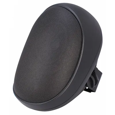 SPECO TECHNOLOGIES Speaker with Transformer: Powered, 2-Way, 8 ohm Impedance - Wall-Mount Speakers