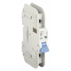 This 25 A, D-Curve, 1-pole miniature circuit breaker is UL489 listed for overcurrent protection. Rated 120V AC (10kA AIR) and 60V DC, it features lug terminal connections and mounts on a DIN rail. Suitable for branch circuits and equipment with high inrush currents in industrial control panels, HVAC equipment, and machinery.