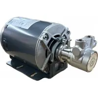 FLUID-O-TECH Rotary Vane Pump: Direct Drive, 1/4 hp, 115/230V AC, Stainless Steel Body, 3/8" NPT (MPN PA111-25M)
