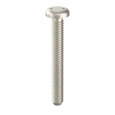 TAMPER-PRUF SCREW Tamper Resistant Screw: 1/4"-20 Thread Size, 2 in Lg, Stainless Steel, Plain - Pan Head Tamper-Resistant Machine Screws