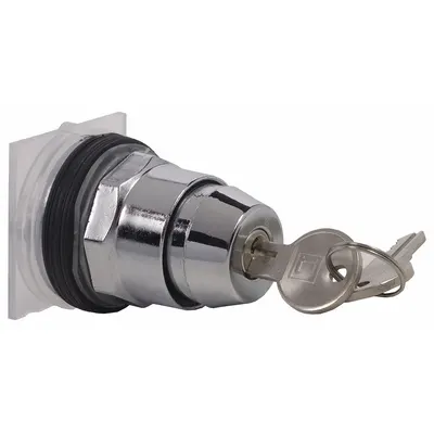 SCHNEIDER Keyed Selector Switch: 2 Position, 30 mm Panel Mounting Size - Panel-Mounted Key Switches without Contacts