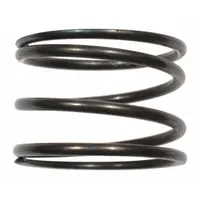 DAYTON Brake Spring: For 3TP98G/3TP99G/3TR01G, Fits Dayton Brand (MPN 72290002G)