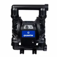 GRACO Electric Diaphragm Pump: Aluminum Body, 2 in Fluid Connection Size, BSP Connection (MPN TE120-1032)