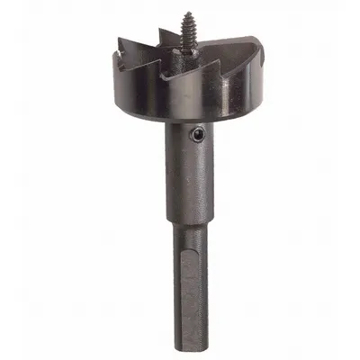 BOSCH Self Feed Drill Bit: 2 1/8 in Drill Bit Size, Hex, 7/16 in Shank Dia - Self-Feed Drill Bits