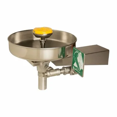 HAWS Plumbed Eyewash: Std, Wall Mnt, Eyes and Face Coverage, Covered, Stainless Steel Bowl - Wall-Mount Eyewash Stations