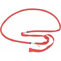 This bead expander is designed for seating beads on bias ply tires during mounting. Constructed with a nylon body and neoprene/nylon composition, it has an overall length of 22 inches. Suitable for manual operation in tire service and vehicle maintenance