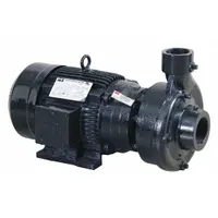 Centrifugal Pump: 5 hp, 208-240/480V AC, 100 ft Max Head, 2 1/2 in, 2 in Intake and Disch