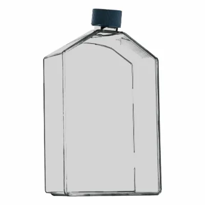 OEM APPROVED VENDOR Plastic Cell Culture Flask - Plastic Cell Culture Flasks