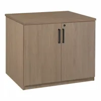 REGENCY Storage Cabinet: Noble Oak, Laminate/Melamine, 29 in Overall Ht, 35 in Overall Wd, 1 Shelves (MPN LSC2935NO)