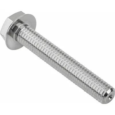 KIPP Hygienic Flanged Hex Head Screw M6 x 40 mm, Grade 316L - Hygienic Flanged Hex Head Screws