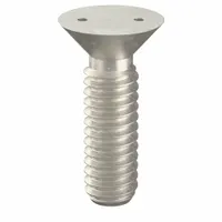 Tamper Resistant Screw: #12-24 Thread Size, 3/4 in Lg, Stainless Steel, Plain, Flat, Spanner, 25 PK (MPN 121963)