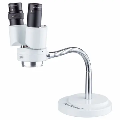 GLOBE SCIENTIFIC Microscope: Stereo, Binocular, 8X, 8X - Stereo Microscopes