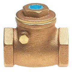This swing check valve features a lead-free brass inline body with 2-inch FNPT x FNPT connections. It is designed to prevent backflow in piping systems, suitable for horizontal or vertical installation in water, HVAC, and industrial applications.