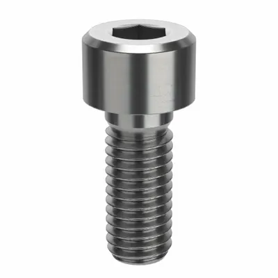 FOREVERBOLT Socket Head Cap Screw: M8x1.25 Thread Size, 20 mm Lg, Std, NL-19, Stainless Steel - Metric System Standard Socket Head Cap Screws