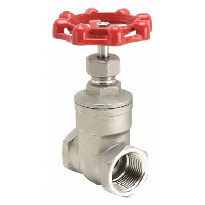 OEM Gate Valve: 1 in - Non-Rising Stem Stainless Steel General Purpose Gate Valves
