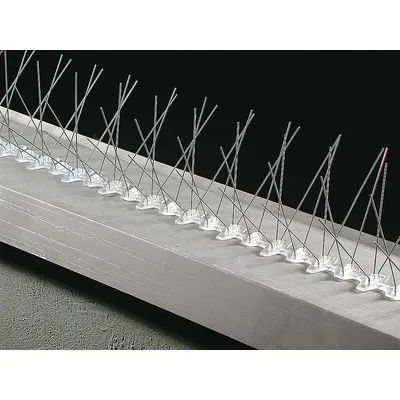 BIRD BARRIER Bird Spikes, Plastic Base, Silver, 50 ft L, 8 in W, BP-F350