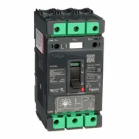 Motor Circuit Protector: 25 A Amps, Adj, Plug-In, 110 A Low Amp Trip Setting, 3 Poles (MPN BV4T025J)