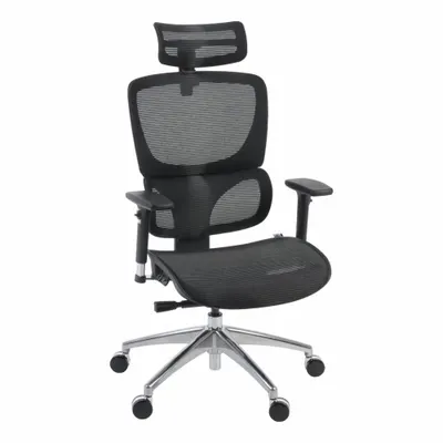 REGENCY Office Chair: Omega, Black, 24 in Back Ht, 20 1/2 in Seat Wd, 21 in Seat Dp - Fixed-Arm Office Chairs