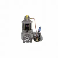 Positive Displacement Flowmeter,3/4 inSz (MPN TS06AS83AUPXXT9N)
