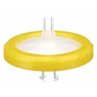 LAB SAFETY SUPPLY Syringe Filter: Sterile, 0.45 um Pore Size, 10 mL Max Capacity - mL, Male, Female