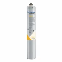EVERPURE Quick-Connect Water Filter: 0.2 micron, 2.5 gpm, 20 3/4 in Overall Ht, 25,000 gal, Carbon (MPN EV969271)