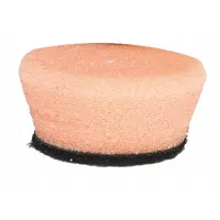 FLEX NORTH AMERICA Polishing Pad: Pad, Hook-and-Loop, Hook-and-Loop, Foam, 1 in Outside Dia, Orange (MPN 555120)