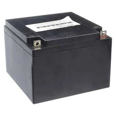 OEM AGM Sealed Lead Acid Battery, 12V DC, 24 Ah, Dual Purpose, ABS Housing - AGM Sealed Lead Acid Batteries