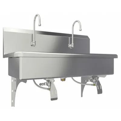 SANI-LAV 54W1-0.5 Two-Station Wall-Mounted Wash Station with Faucets - Two-Station Wall-Mounted Wash Stations with Faucets