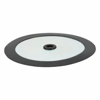 WESTWARD Follower Plate: Follower Plate, TTFLP3223806G, 5NUE4