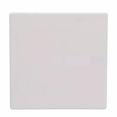 WATTS APU9 Latching Access Door, 8 in x 8 in, White Polystyrene, Concealed Hinge - Latching Access Doors