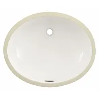 Vitreous china undermount sink in white. Overall length 21-1/4 in, width 17-1/4 in. Includes mounting hardware, template, and sealing compound. Suitable for installation under vanity tops in residential and commercial washrooms