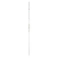 APPROVED VENDOR Volumetric Pipette: 2 mL Capacity, 2 mL Graduation Increments, Non-Sterile, Glass