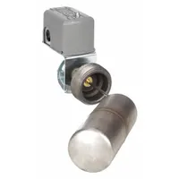 TELEMECANIQUE SENSORS Liquid Level Switch: Close On Rise, DPST-2NC, Steel (MPN 9037HG33)