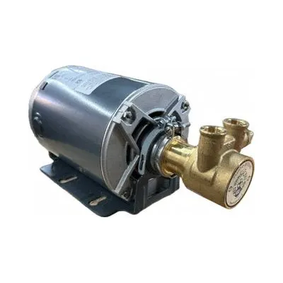 FLUID-O-TECH Rotary Vane Pump: Direct Drive, 1/2 hp, 115/230V AC, Brass Body - Brass Body Rotary Vane Pumps