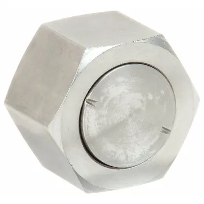 PARKER Hydraulic Hose Cap: Stainless Steel, 1 in Fitting Size, Female - Hydraulic Hose Caps