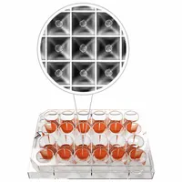 This sterile 24-well plate features round wells with a 2 mL capacity, made from Cyclic Olefin Copolymer. It is designed for cell culture applications such as cell growth, assays, and screening in life science research