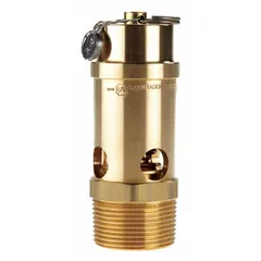 Brass-bodied pneumatic safety valve with silicone soft seat. 1 1/4 in (M)NPT inlet, 5/8 in (F)NPT outlet. Used for overpressure protection in compressed air systems, air receivers, and pneumatic piping.