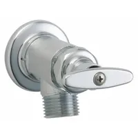 CHICAGO FAUCETS Straight Sill Faucet: Cast Brass, Rough Chrome Plating, Cast Brass, NPT (MPN 293-RCF)