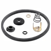 BELL & GOSSETT Seal Kit: Mfr Part # 189174LF, For Use With 3CFF3